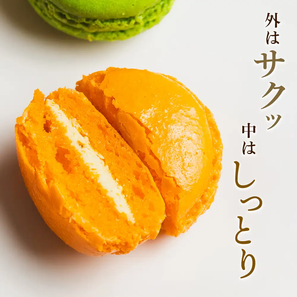 マカロンギフト 6個入 まかろん kn-0044