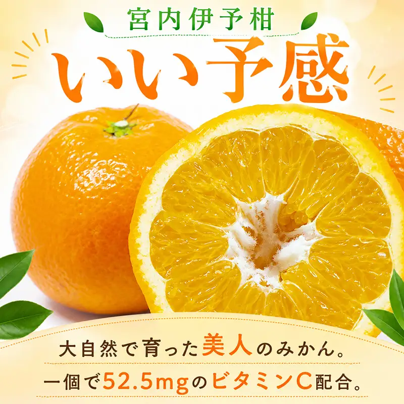 【2027年1月上旬頃から順次発送】伊予柑 約5kg  訳あり | みかん わけあり【TNN012】