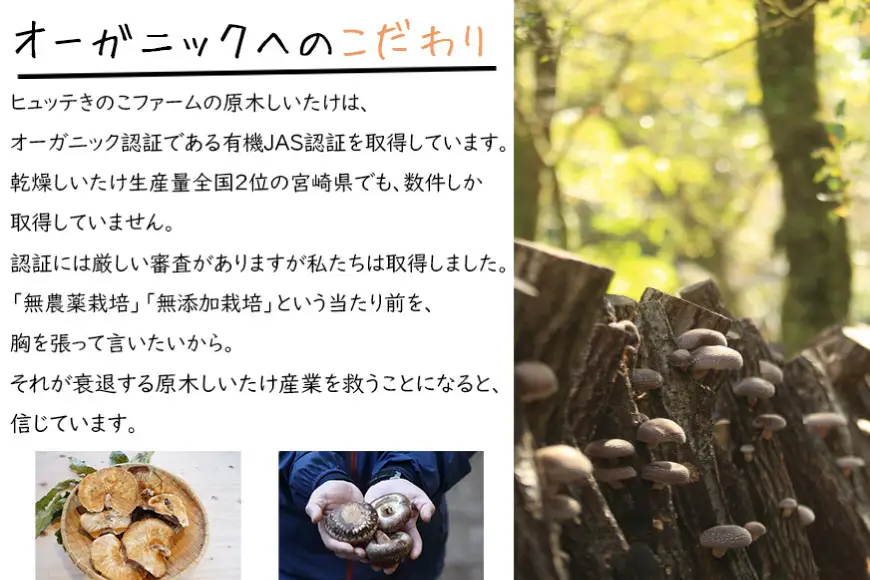 しいたけ 乾燥 椎茸 130g