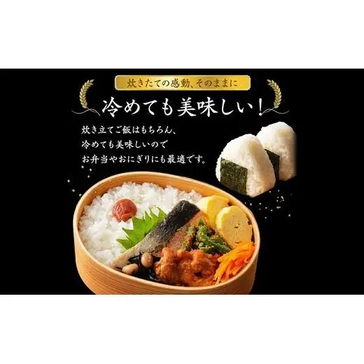 令和8年産米（数量限定）栄町産 特別栽培米 コシヒカリ10kg（5kg袋×2）ちば緑耕舎 ※2026年10月～発送 19-1｜令和8年産 白米 精米 お米 コメ ごはん お弁当 おにぎり 人気 おすすめ