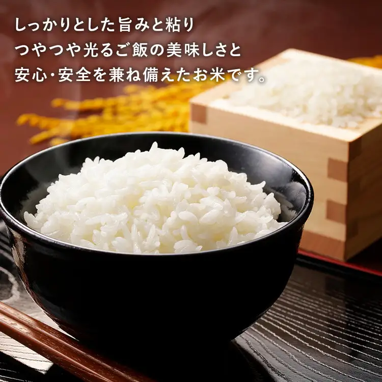 令和8年産米（数量限定）ちばエコ認定米 栄町産 コシヒカリ10kg（5kg袋×2） 長谷川農園｜令和8年産 白米 精米 お米 コメ ごはん お弁当 おにぎり 人気 おすすめ 18-2