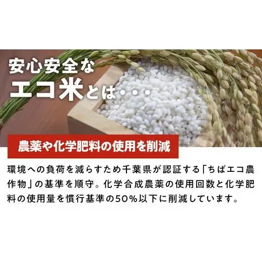 ヒメノモチ 5kg（1kg×5袋）もち米 ※2026年10月～発送 17-4