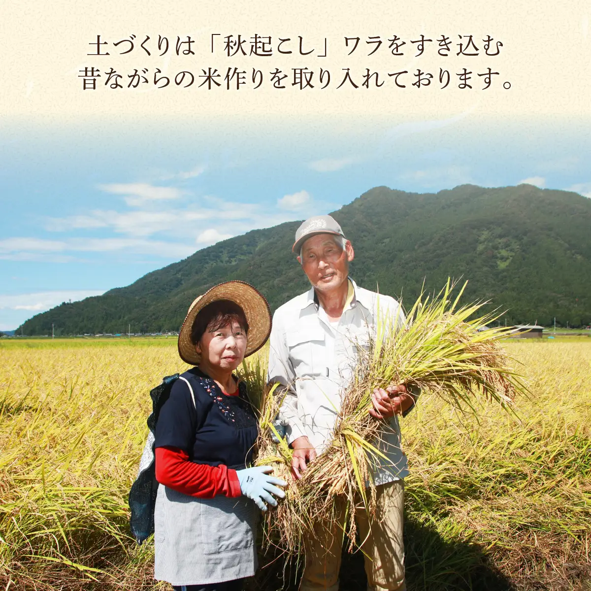 米 コシヒカリ 勝山市産 田中さんち 精米 5kg [A-080011]