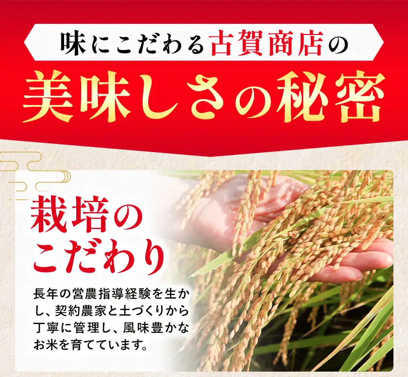 【6ヶ月定期便】＼熊本県 南関町産／ 令和7年産 米 白米 10kg(5kg×2袋) /月 ひのひかり《お申し込み月の翌月から出荷開始》 ミネラル肥料栽培米 精米 国産米 単一原料米 ごはん お米 ご飯 九州産 ヒノヒカリ ブランド米 有限会社古賀商店 ふるさと納税 熊本