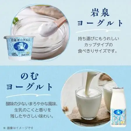【毎月定期便】岩泉ヨーグルト90g×6個・のむヨーグルト200ml×6本セット全6回【配送不可地域：離島】【4089196】