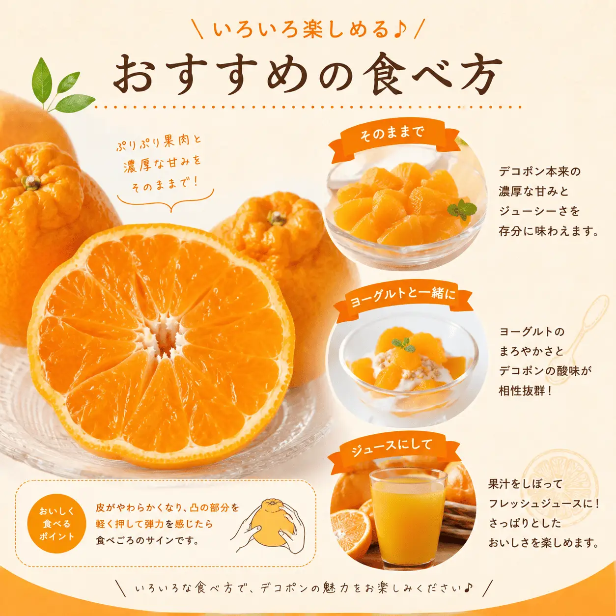 【3月上旬より発送】 デコポン 不知火 約2.0kg 