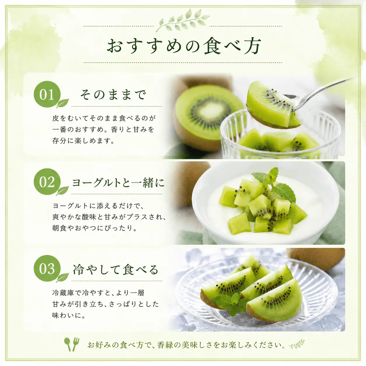 【12月中旬より発送】 キウイ 香緑 約1.0kg 