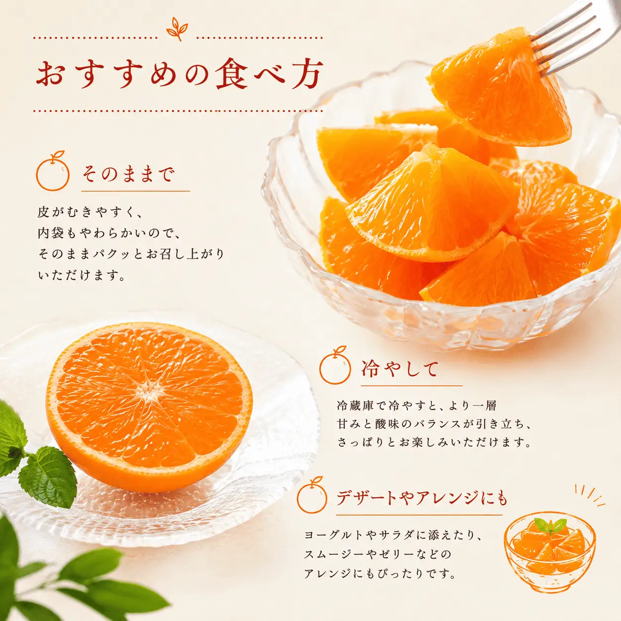 【11月中旬より発送】 小原紅早生 約2.0kg みかん 