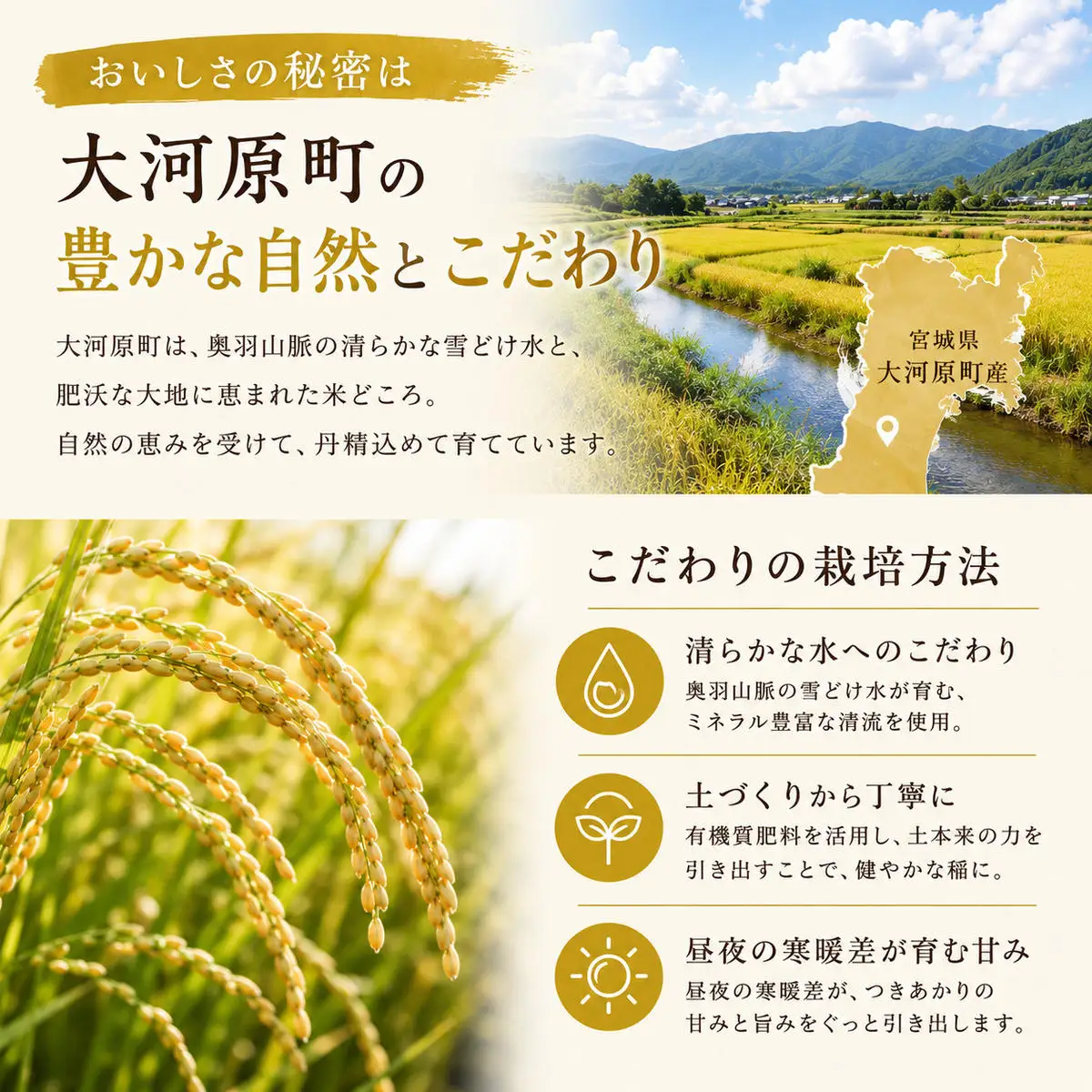 つきあかり 10kg（5kg×2袋） 令和8年産 新米 ブランド米 白米 精米