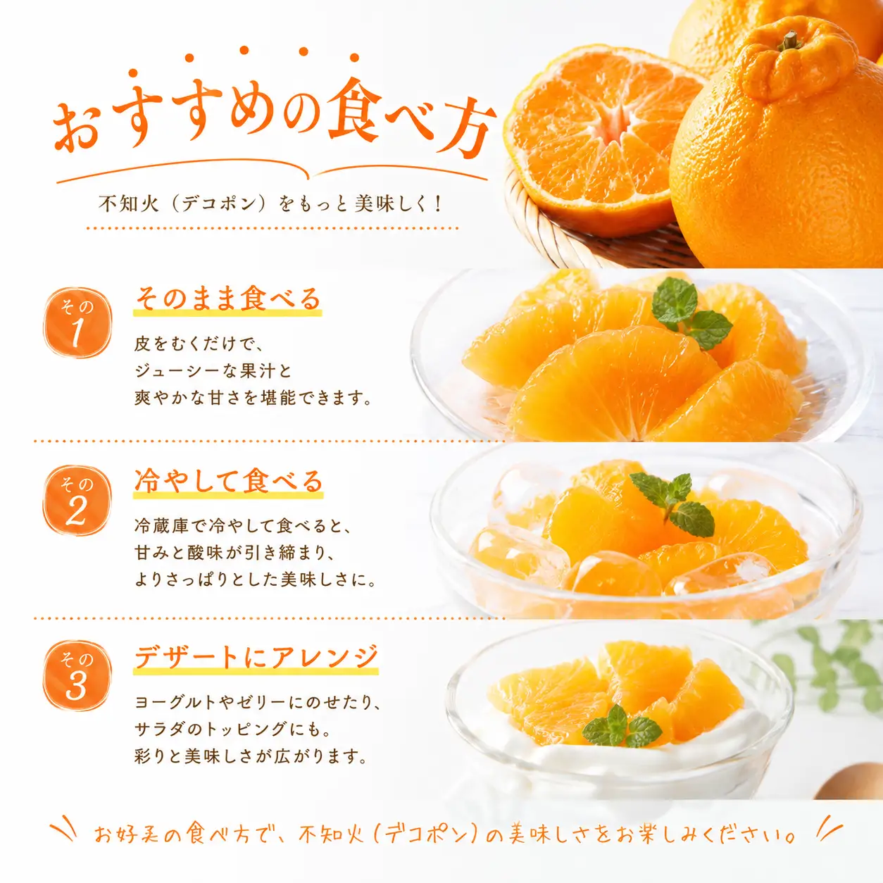【4月中旬より発送】 デコポン 貯蔵デコポン 不知火 約2.0kg  