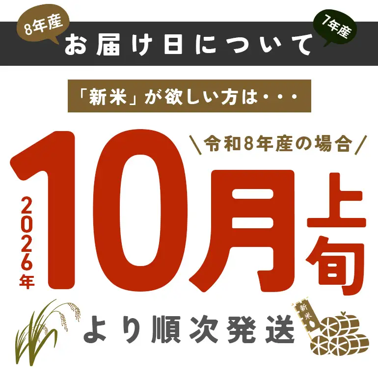 玄米 米 定期便 10kg 12ヵ月 令和8年産 にじのきらめき お米 FH-032