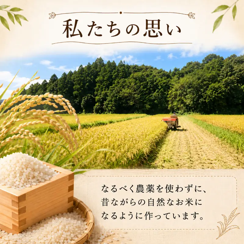 米 コシヒカリ 玄米 5kg やさしいお米 お米 こしひかり okome げんまい ゲンマイ おこめ こめ コメ ご飯 未精米 国産 茨城県 鉾田市 合同会社はぐくみのもり