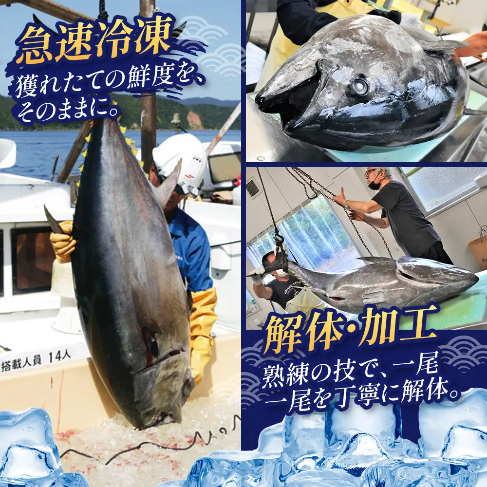 【3回定期便】奄美大島産養殖クロマグロ 4柵セット 900g以上