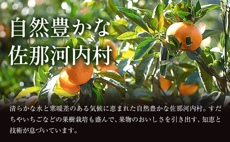【先行予約】極みかん2kg お試し簡易包装