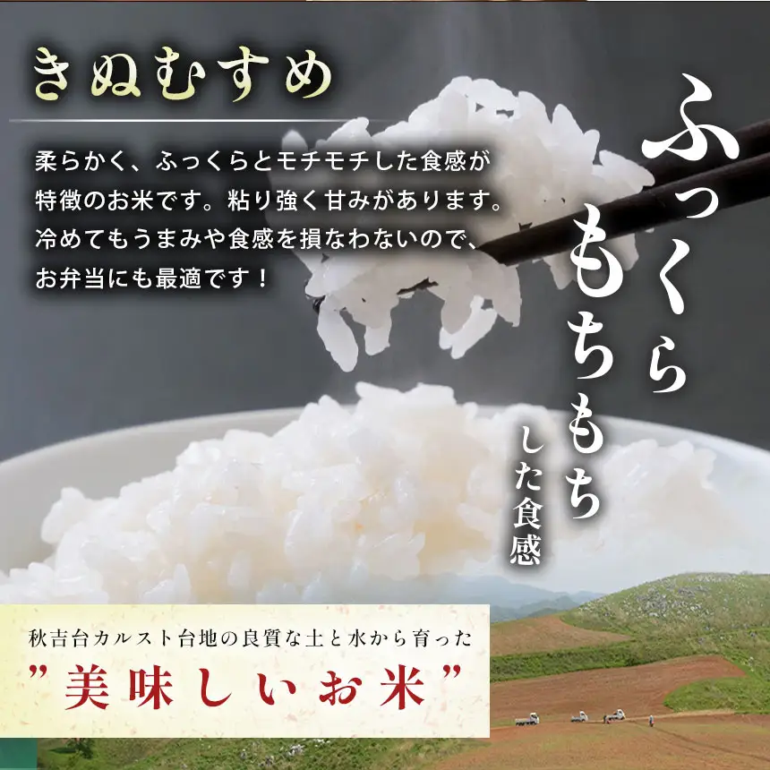令和8年度産 新米 きぬむすめ 白米 20kg 村上農園 先行予約 ＜ 2026年10月中旬より11月末まで順次発送＞