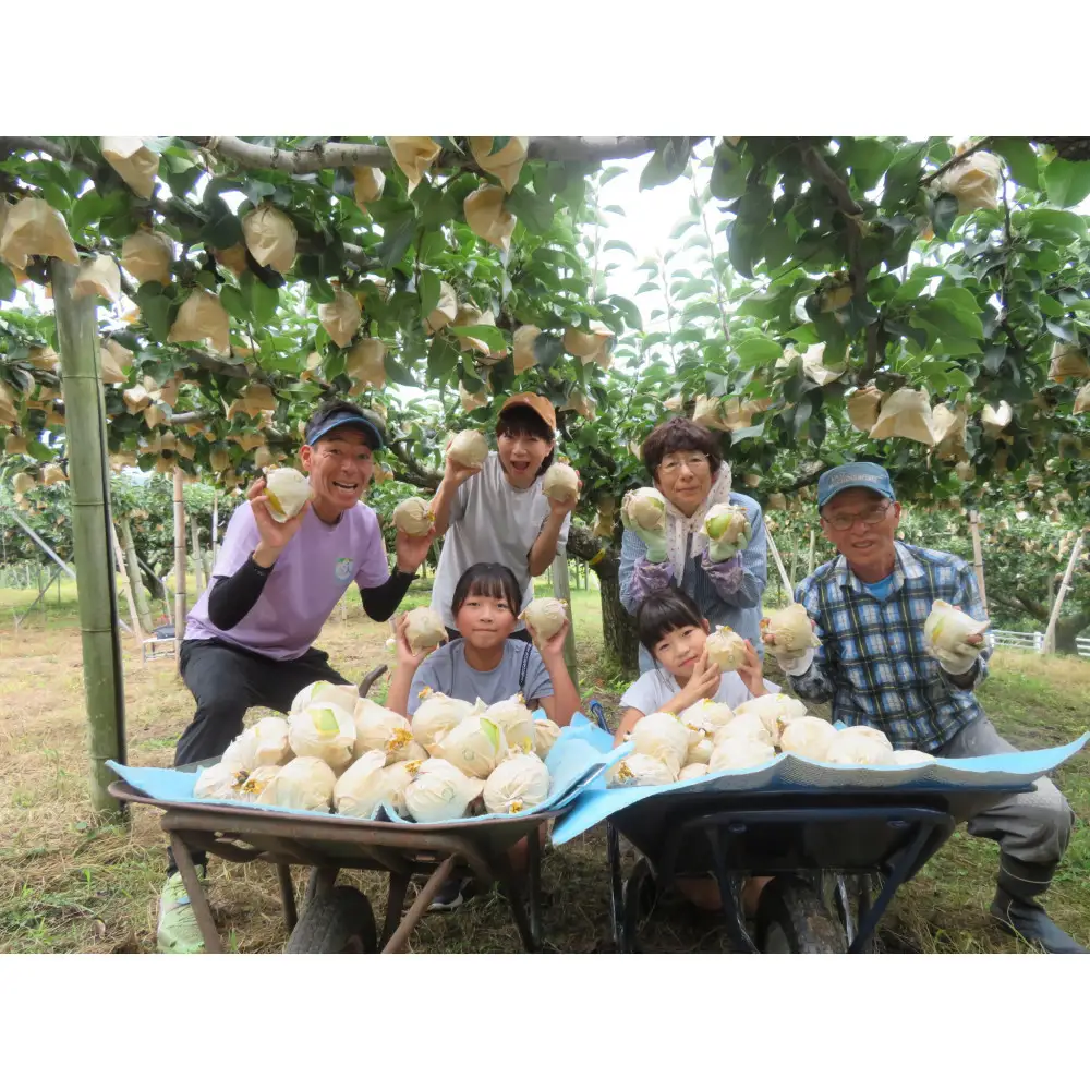 三ツ田農園 新興梨(赤秀)3kg(10月上旬から発送）