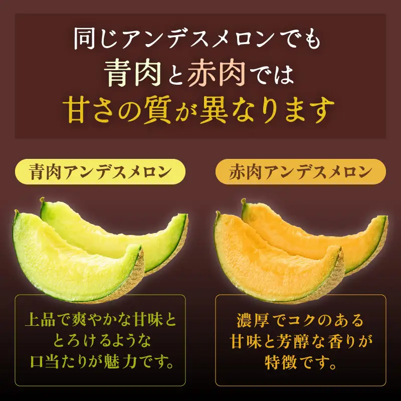 【先行予約】紅白アンデスメロン 青肉・赤肉 食べ比べセット ４L(1玉1.3kg以上）×2玉 ／ 果物 フルーツ 産地直送 糖度 ギフト 贈り物 福井県あわら市 ※2027年6月中旬以降順次発送 [aw067-a006]