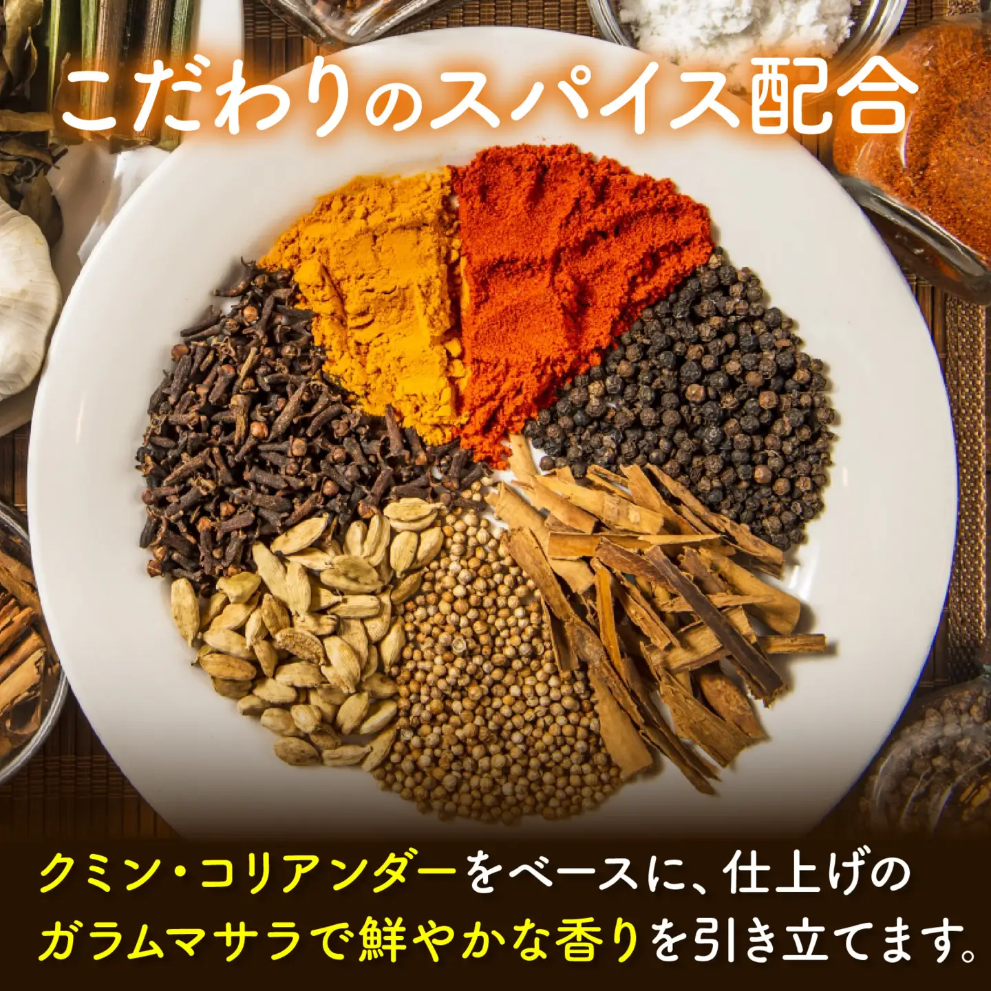 KITO スパイシーチキンカレー 詰合せ 180ｇ×10パック | カレー