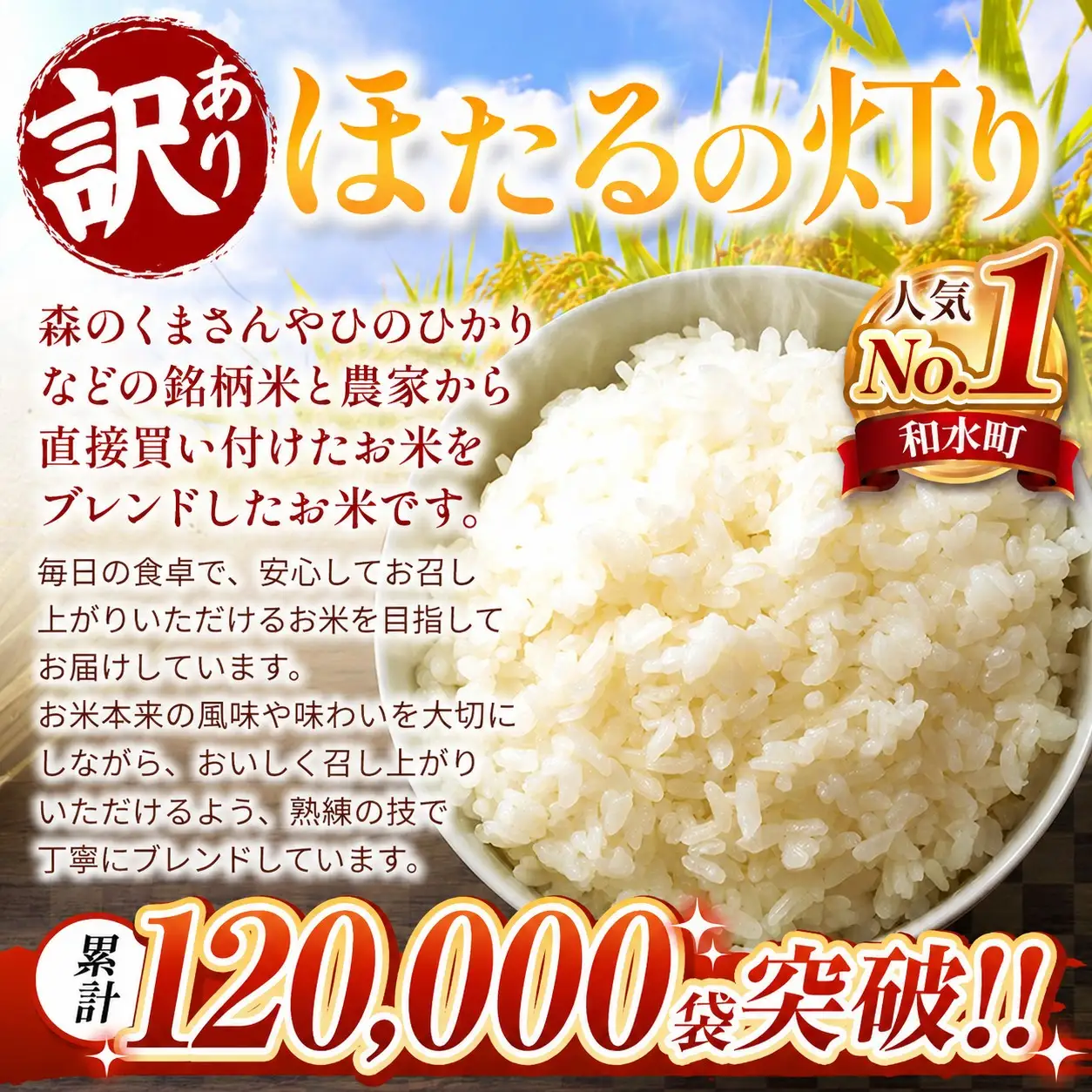 【 新米 予約 】 令和8年産 熊本県産 ほたるの灯り 無洗米 5kg | 選べる 銘柄 ほたるの灯り 森のくまさん 容量 5kg 10kg 15kg 20kg 25kg 30kg特A 小分け  訳あり 規格外