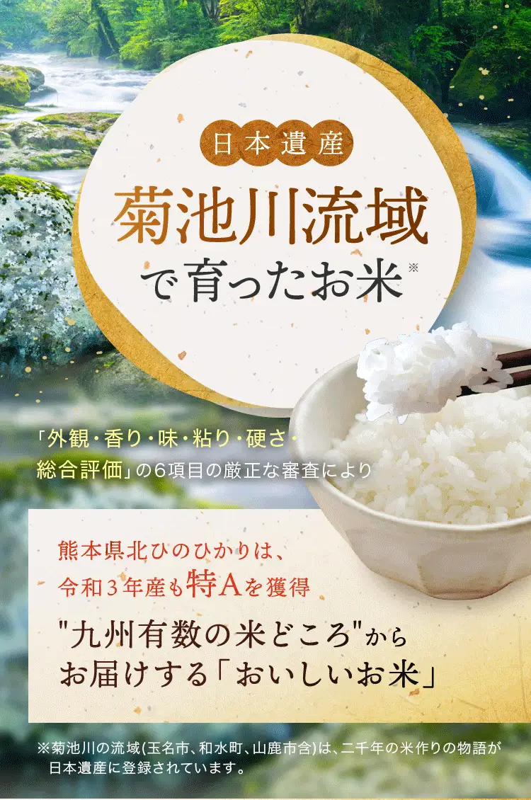 【 新米 予約 】 令和8年産 熊本県産 くまさんの輝き 白米 20kg 米 こめ
