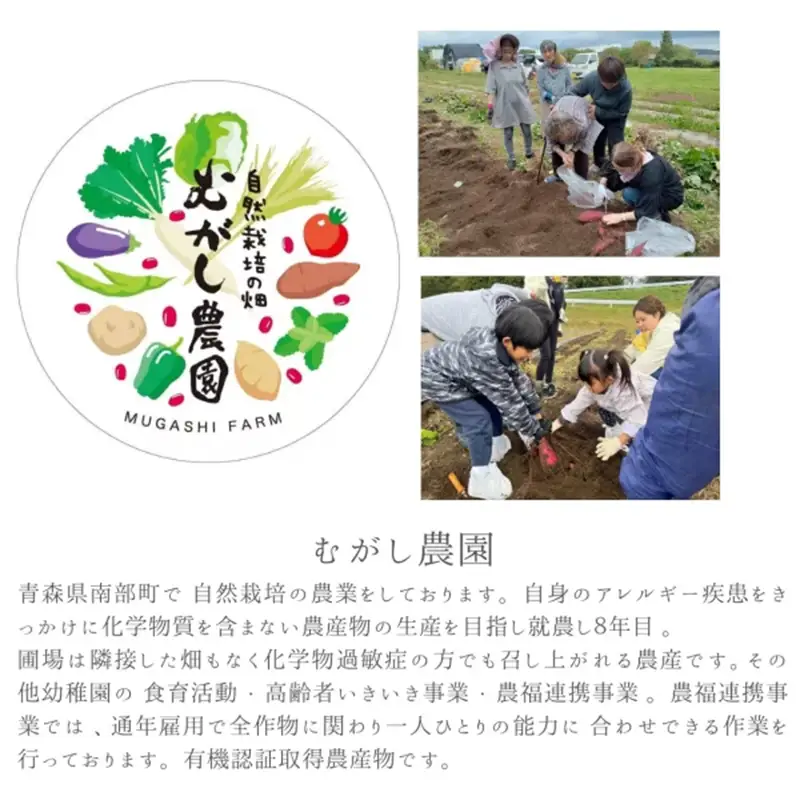 有機JAS ミニトマト 約2kg 【むがし農園】 自然栽培 オーガニック 朝採り 完熟 フルーツトマト 有機栽培 無農薬 無化学肥料 野菜 青森県 三戸 南部町 F21U-711