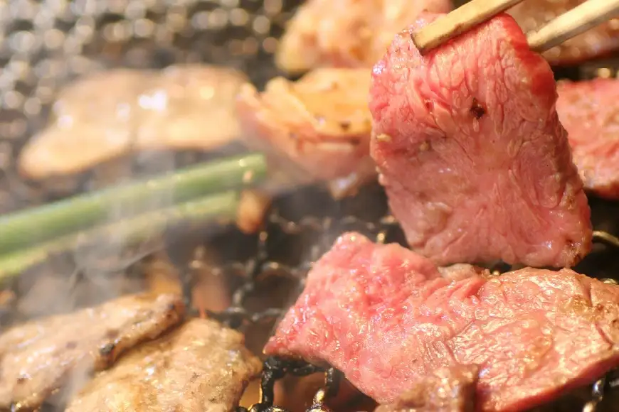 焼肉 食事券 3,000円分 / 焼肉レストランからしし / 富山県 上市町 [32280055] 商品券 ランチ テイクアウト 炭火焼き 七輪 3000