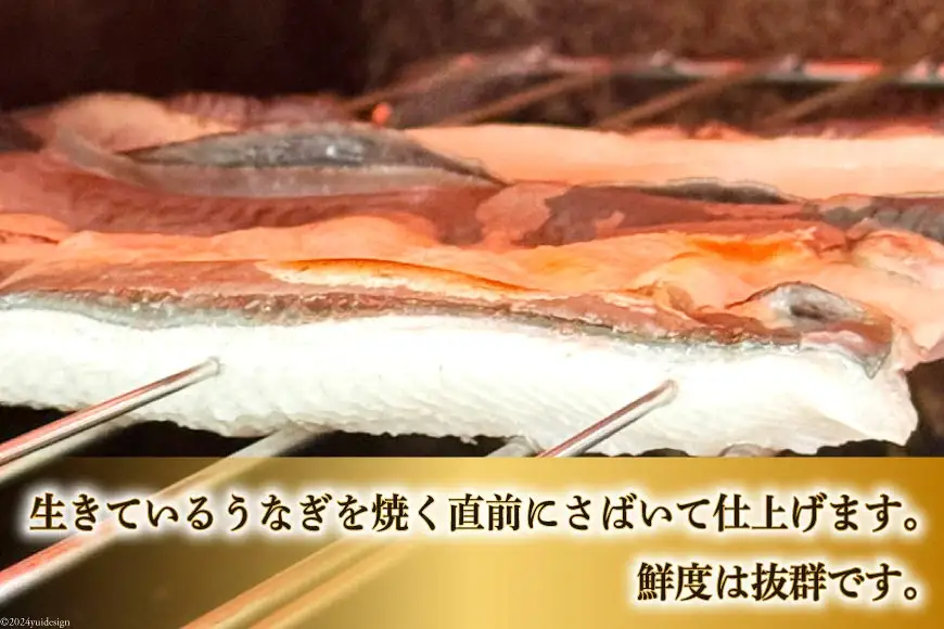 うなぎ【霊水仕込みの醤油が決め手！】うなぎの蒲焼 1尾 [つるぎ水産株式会社 富山県 上市町 32280174] 日本料理 鰻 うなぎ ウナギ 鰻蒲焼き 鰻重 甘辛ダレ 土用 丑の日 ガッツリ