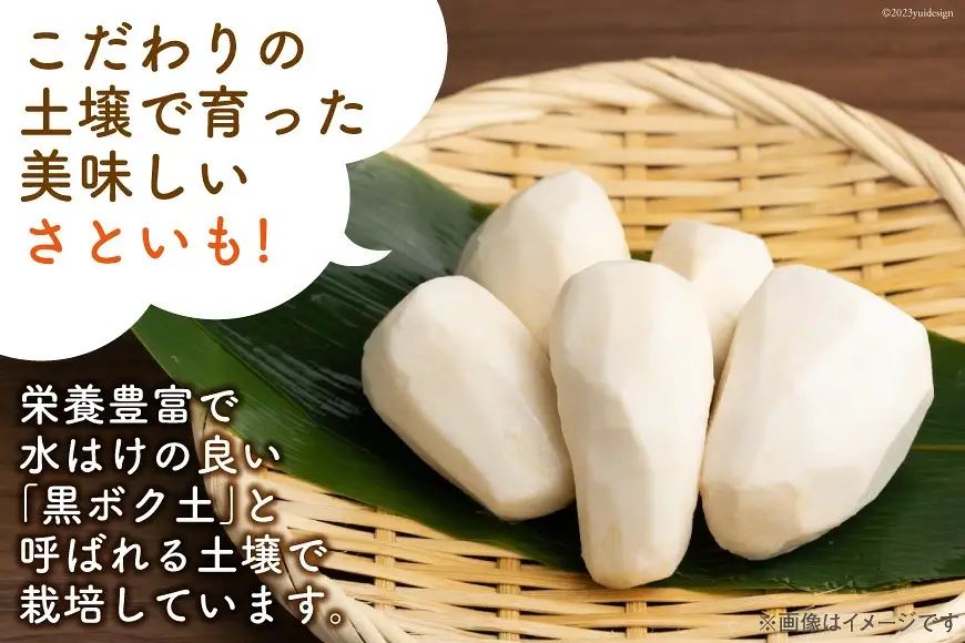 【先行予約】上市町産 さといも 3kg [LINK&ROOTS 富山県 上市町 32280241-r6-01] 里芋 サトイモ 野菜 美味しい 特産品