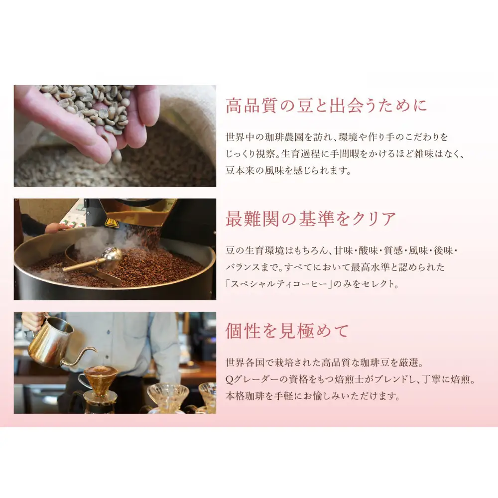 自家焙煎 コーヒー 600g アソートセット 飲み比べ 豆のまま【桜珈琲】