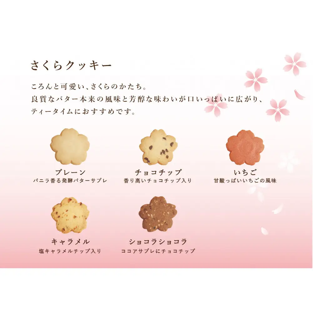 【桜珈琲】さくら散歩 一段重 クッキー10枚入り