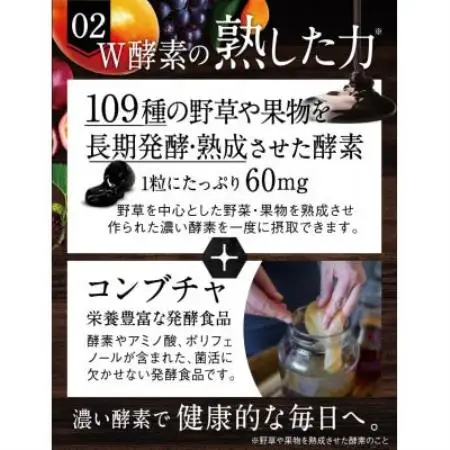 【毎月定期便】酵素サプリメントコエンザイムQ10炭酵素ファイバーKUROBIO180日180粒全4回【4090416】