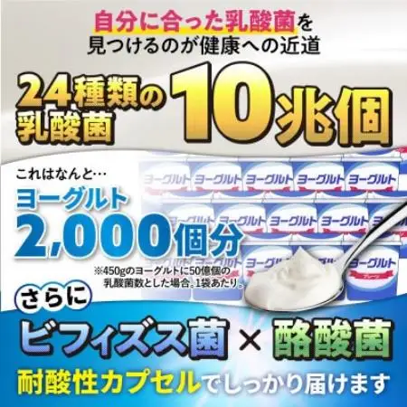 【毎月定期便】乳酸菌サプリメントナノ型乳酸菌10兆個＆ビフィズス菌配合菌活すっきり90日90粒全4回【4090417】
