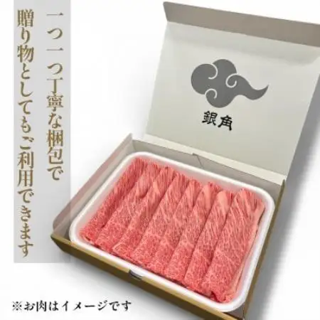 【毎月定期便】厚切り【飛騨牛】サーロインステーキ500g(250g×2枚)全3回【配送不可地域：離島】【4090425】
