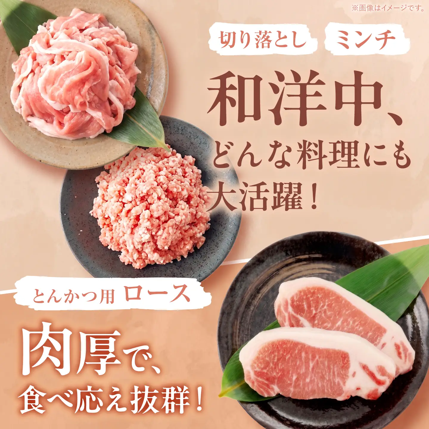 【3回定期便】 西海市産 「炭美豚」 豚肉詰め合わせ バラエティセット 計3kg (5種)＜宮本畜産＞ 豚肉 セット 豚 便利 しゃぶしゃぶ 切り落とし バラ ロース 冷凍 国産 料理 使いやすい 甘い 塊 ブランド豚 ポーク 長崎 西海[CFA094]