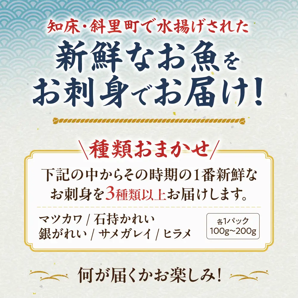 【知床・斜里町】鮮魚が自慢のスーパー「みたに」が選ぶ カレイ・ヒラメ類 刺身3～5パック｜北海道産 新鮮 魚介 海鮮 冷凍 真空パック 北海道 斜里町 