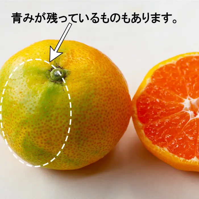 完熟 極早生 みかん 訳あり (おおいた早生)  約3kg 【木戸農園】 11月 果物 フルーツ 数量限定 期間限定 九州 大分県 ＜113-013＞