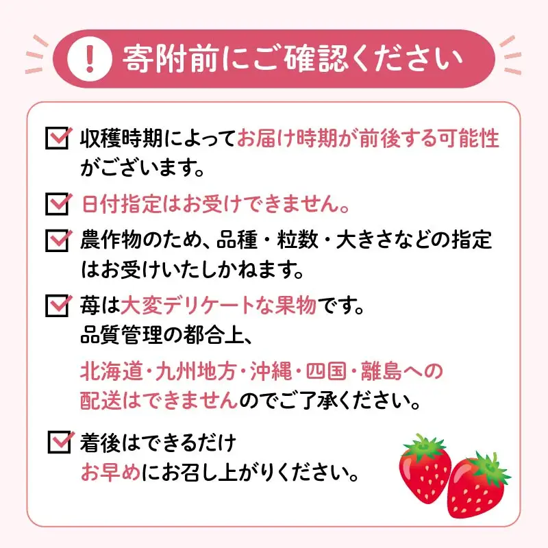 【2027年3月発送】いちご 完熟 2パック なごみジャム 6個 セット 紅ほっぺ