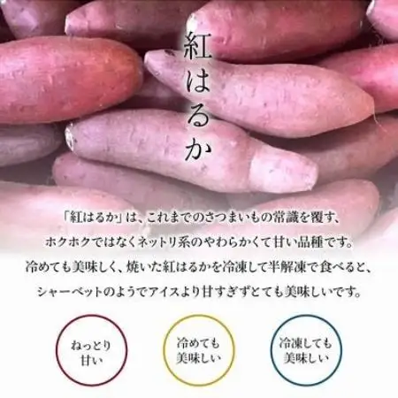 鹿児島県産紅はるか7～7.5kg【1767210】