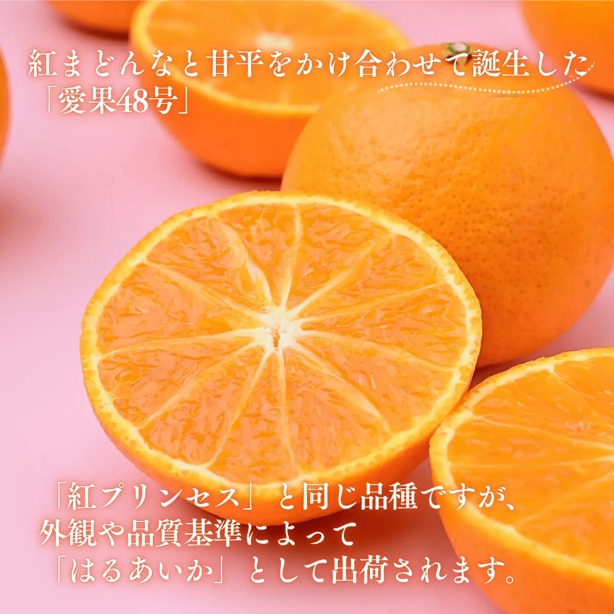 はるあいか 5kg 秀S～４Lサイズ みかん