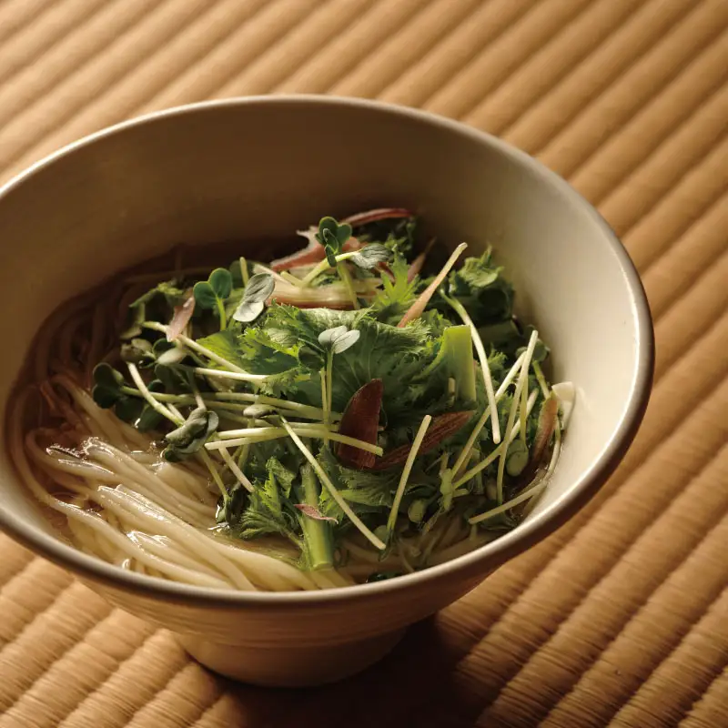 ラーメン 斎麺 2食入り プラント(ヴィーガン)ラーメン 袋麺 E2192