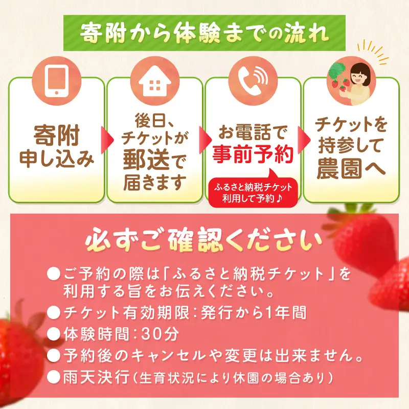いちご狩り体験チケット（大人1名）【ふるさと納税3.0】【117D-002】