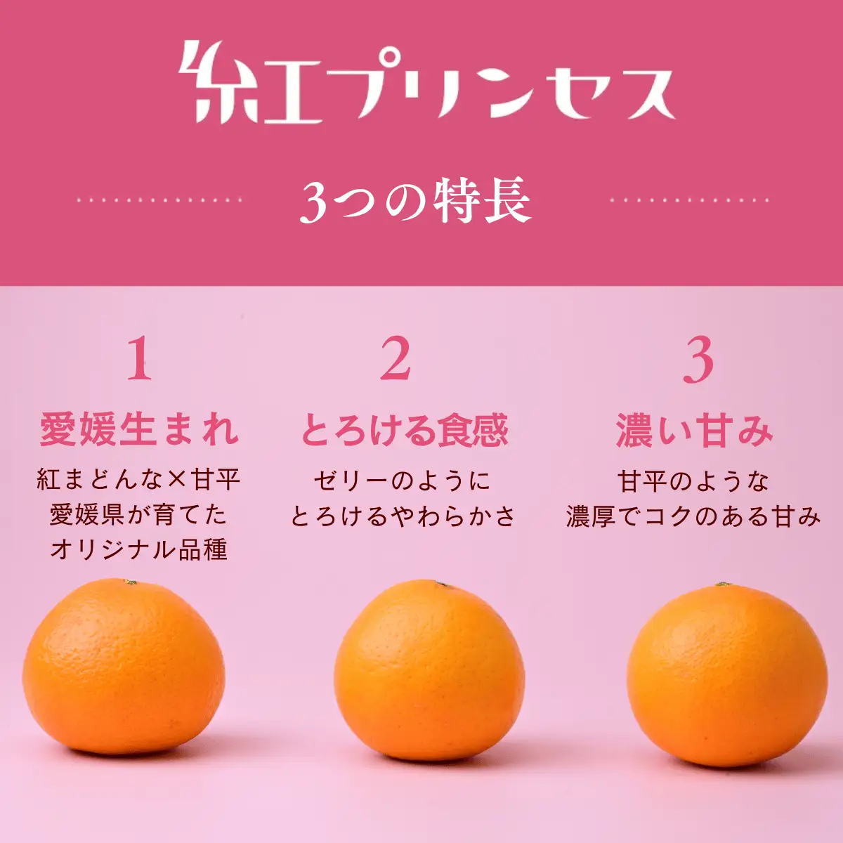 紅プリンセス【先行受付】 5kg 秀 M～４Lサイズ みかん