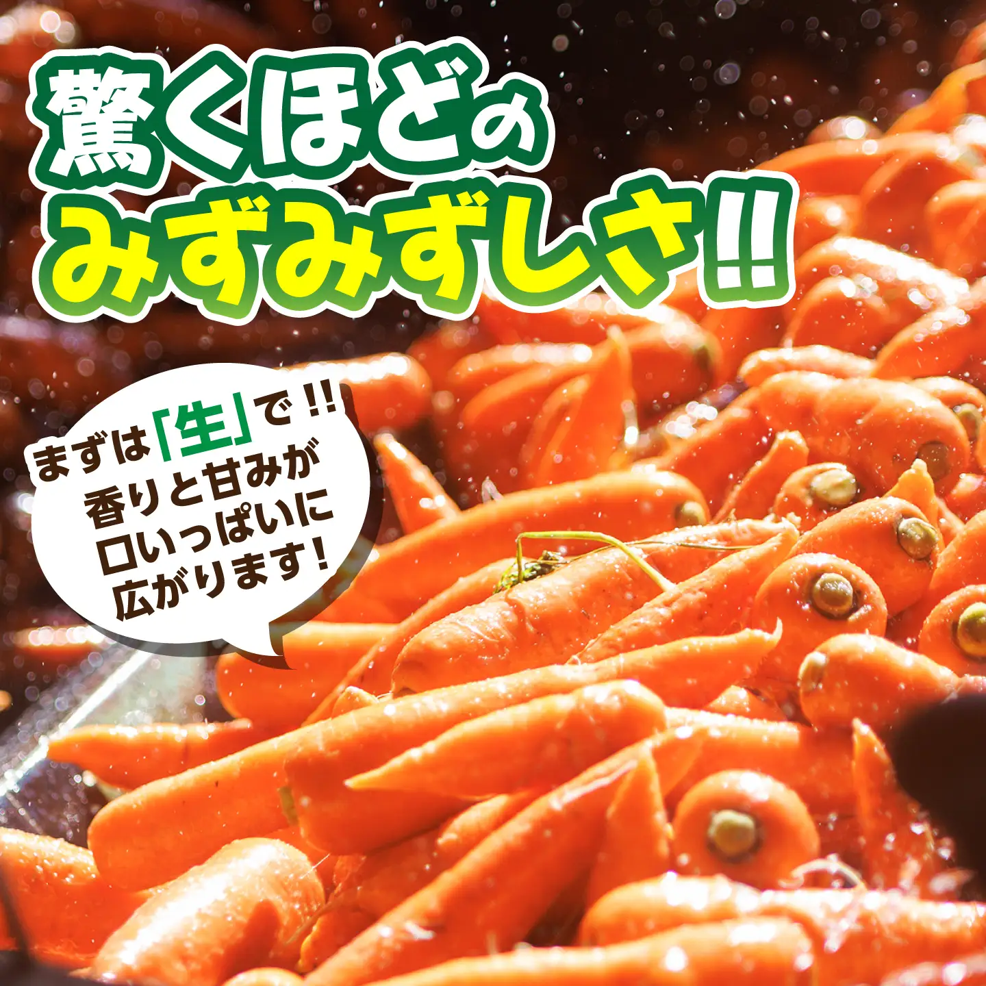 【先行予約】【12月中旬より順次発送】（ふるなび限定）菊陽秋冬にんじん 秀品 約3.5kg / にんじん 菊陽にんじん 西洋にんじん ニンジン 人参 野菜 熊本 菊陽 【マツモト：ファーム】[BHDH013]