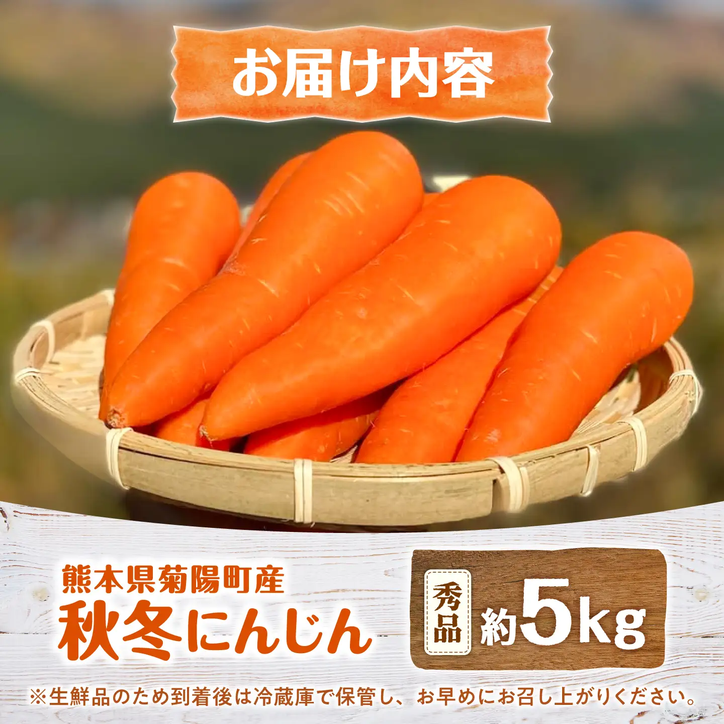 先行予約 2026年11月中旬より順次発送 菊陽秋冬にんじん 秀品 約5kg / にんじん  BHDL004