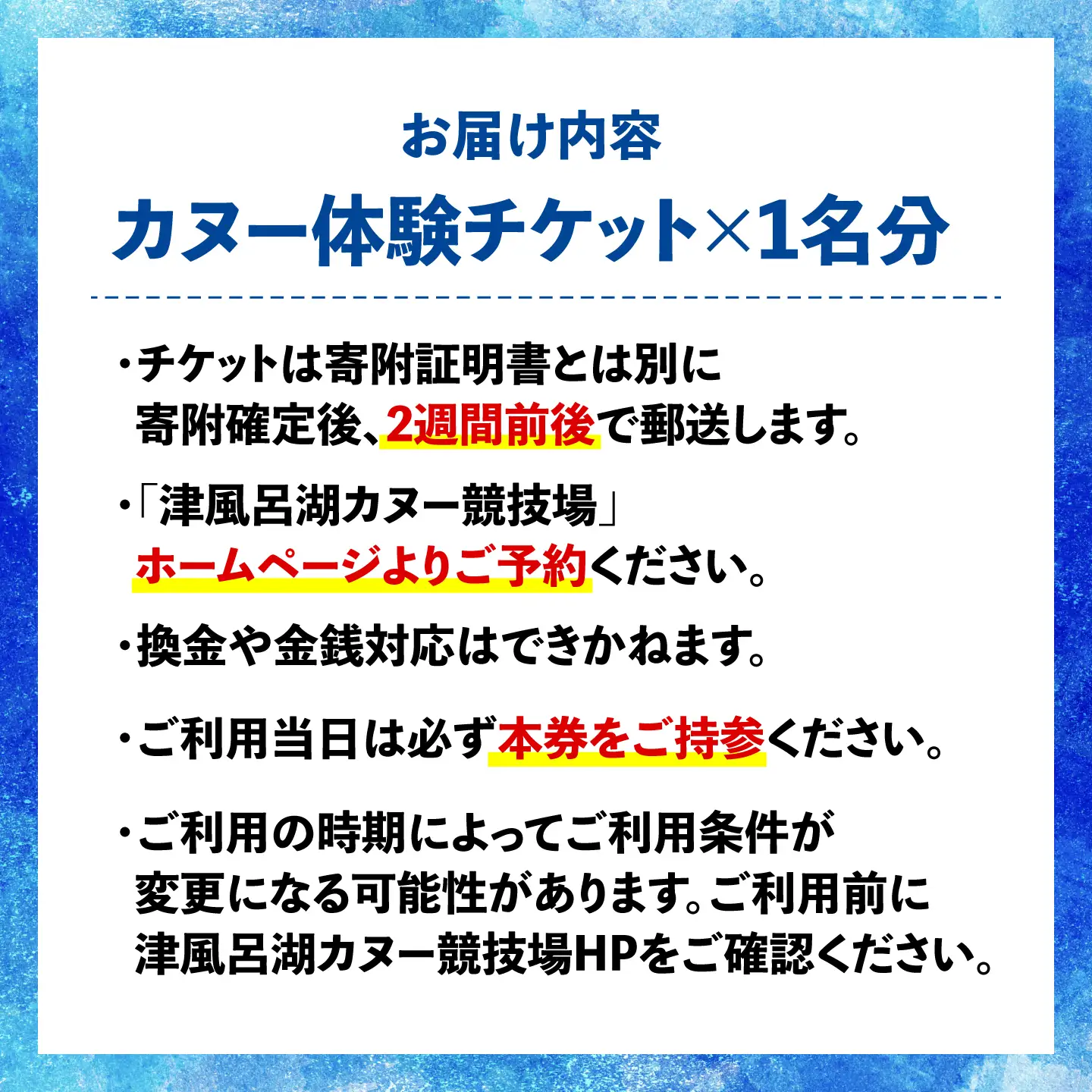 【奈良県共通返礼品】カヌー体験チケット[BRDN001] カヌー