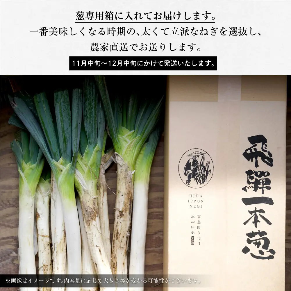 【先行予約】飛騨一本葱 プレミアム5キロ（15本‐20本） 葱 ねぎ JY005