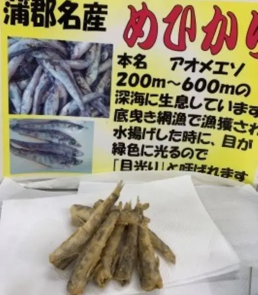 蒲郡海鮮市場 蒲郡産 めひかりの唐揚げ にぎすフライ+ちりめんじゃこ3品_【G0770】