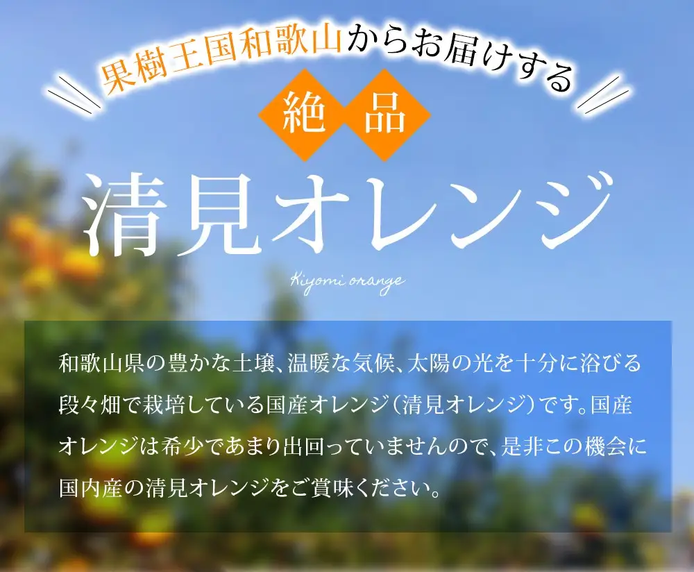 【贈答用】 森本農園の手選別 清見オレンジ 約10kg 和歌山県産 サイズ混合 【北海道・沖縄・離島配送不可】【2027年2月上旬～5月中旬頃に順次発送】【BV-mrmt138A】
