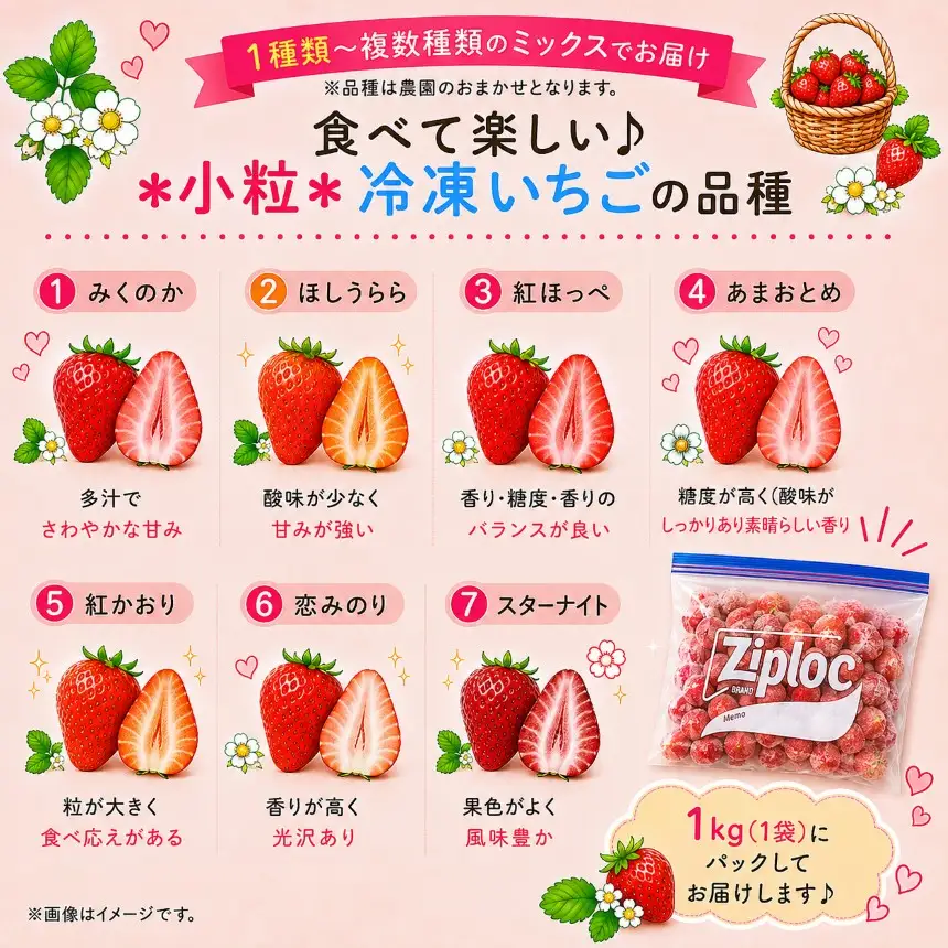 【訳あり】 小粒 完熟・急速 冷凍いちご 5kg | 渡邉いちご園 君津市 