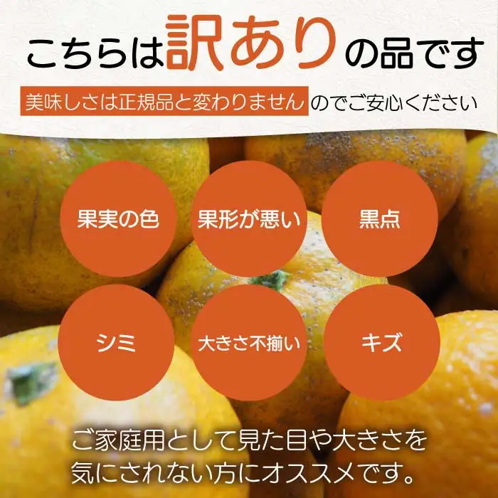 〈訳あり〉レモン 4.5kg 《2027年3月～4月頃発送予定》栽培期間中 防腐剤 ワックス 不使用 おくはち農園 旬 柑橘 かんきつ フルーツ 果物  166031